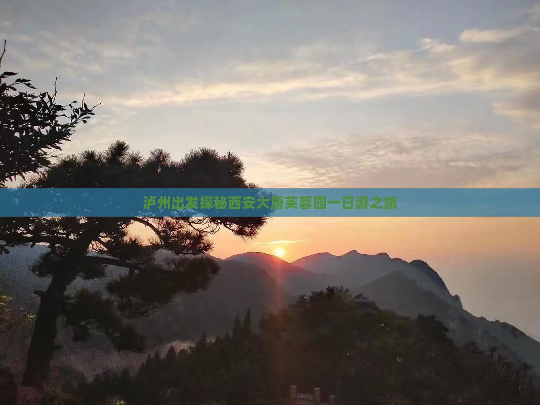 泸州出发探秘西安大唐芙蓉园一日游之旅
