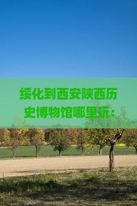 绥化到西安陕西历史博物馆哪里玩：绥化博物馆攻略及位置指南