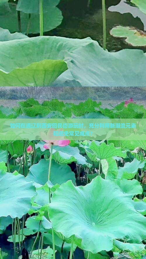 如何在通辽到西安回民街游玩时，充分利用新潮流元素和避免常见痛点？