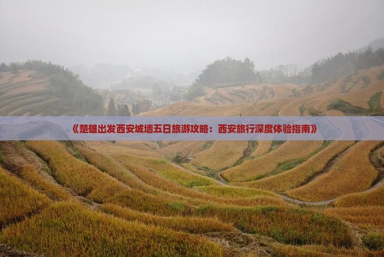 《楚雄出发西安城墙五日旅游攻略：西安旅行深度体验指南》