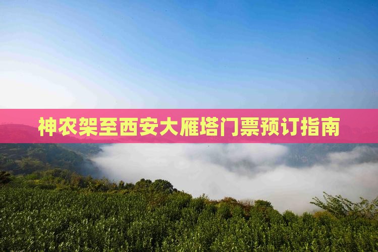 神农架至西安大雁塔门票预订指南