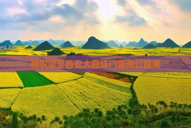 神农架至西安大雁塔门票预订指南