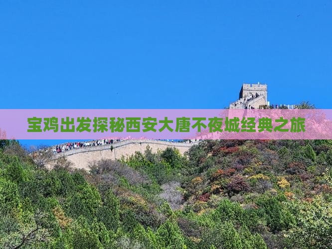 宝鸡出发探秘西安大唐不夜城经典之旅