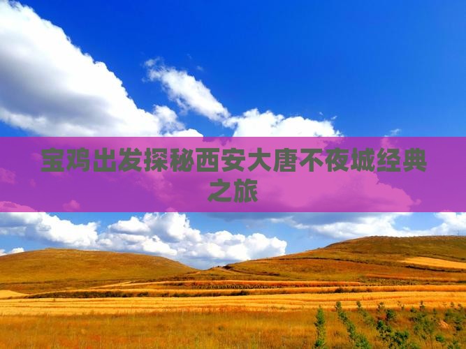 宝鸡出发探秘西安大唐不夜城经典之旅
