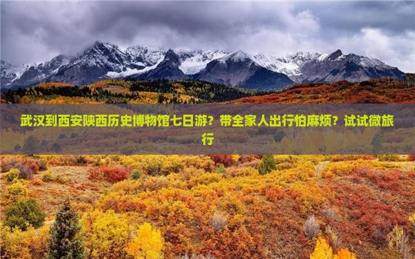 武汉到西安陕西历史博物馆七日游？带全家人出行怕麻烦？试试微旅行