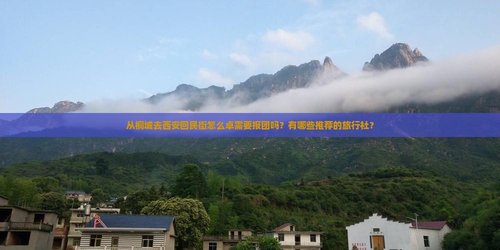 从桐城去西安回民街怎么卓需要报团吗？有哪些推荐的旅行社？