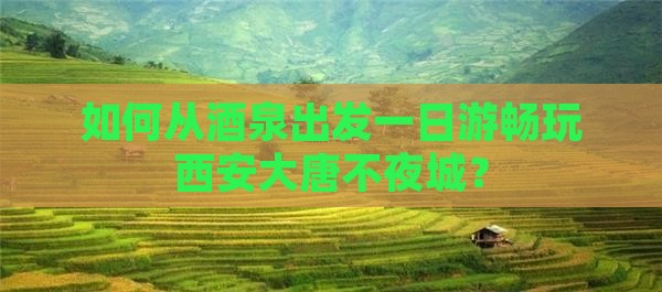 如何从酒泉出发一日游畅玩西安大唐不夜城？