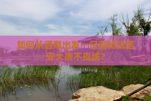 如何从酒泉出发一日游畅玩西安大唐不夜城？