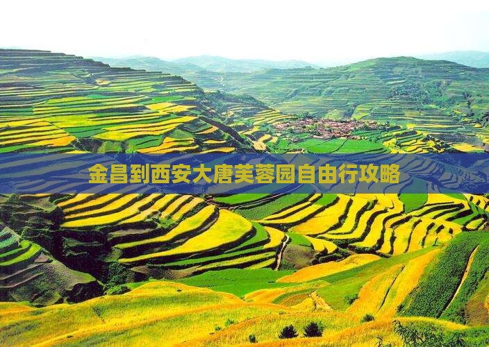 金昌到西安大唐芙蓉园自由行攻略