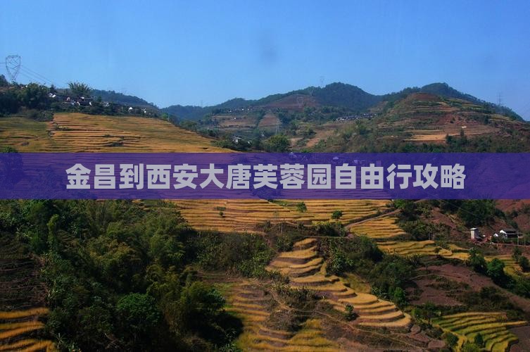 金昌到西安大唐芙蓉园自由行攻略