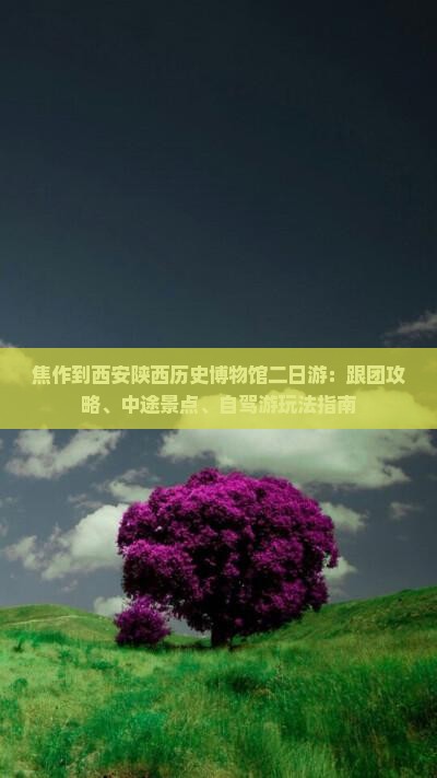 焦作到西安陕西历史博物馆二日游：跟团攻略、中途景点、自驾游玩法指南