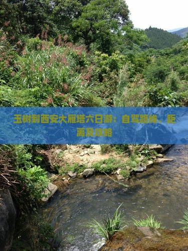 玉树到西安大雁塔六日游：自驾路线、距离及攻略