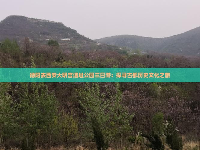 德阳去西安大明宫遗址公园三日游：探寻古都历史文化之旅