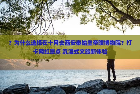 ？为什么选择在十月去西安秦始皇帝陵博物院？打卡网红景点+沉浸式文旅新体验