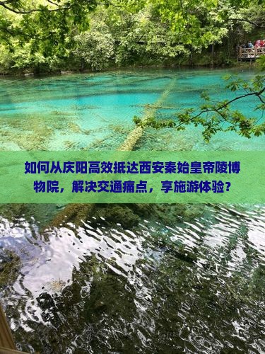 如何从庆阳高效抵达西安秦始皇帝陵博物院，解决交通痛点，享施游体验？