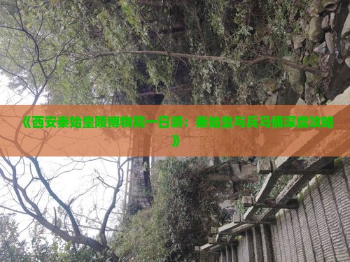 《西安秦始皇陵博物院一日游：秦始皇与兵马俑深度攻略》