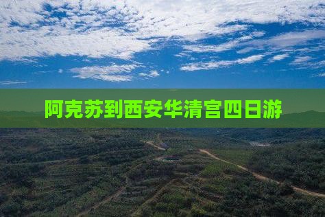 阿克苏到西安华清宫四日游 阿克苏到西安华清宫四日游