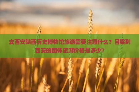 去西安陕西历史博物馆旅游需要注意什么?吕梁到西安的团体旅游价格是多少? 去西安陕西历史博物馆旅游需要注意什么?吕梁到西安的团体旅游价格是多少?