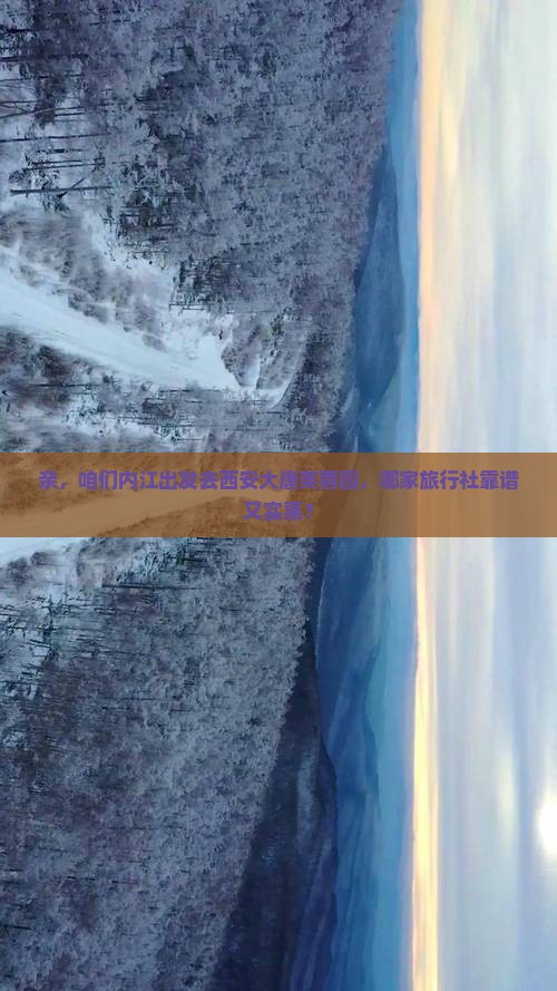 亲，咱们内江出发去西安大唐芙蓉园，哪家旅行社靠谱又实惠？