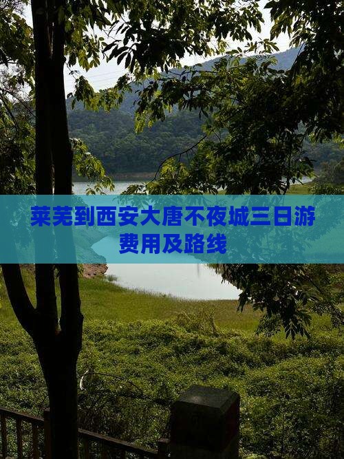 莱芜到西安大唐不夜城三日游费用及路线 莱芜到西安大唐不夜城三日游费用及路线