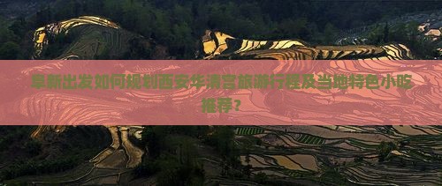 阜新出发如何规划西安华清宫旅游行程及当地特色小吃推荐？