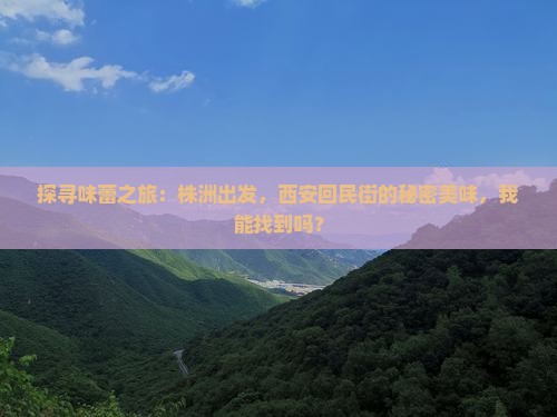 探寻味蕾之旅：株洲出发，西安回民街的秘密美味，我能找到吗？