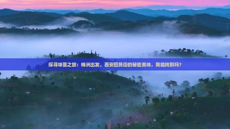 探寻味蕾之旅：株洲出发，西安回民街的秘密美味，我能找到吗？