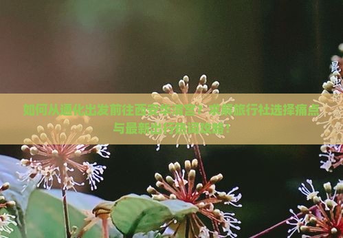 如何从通化出发前往西安华清宫？求解旅行社选择痛点与最新出行热词攻略！