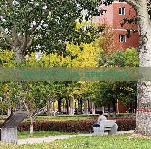 探秘古韵之旅：营口出发，西安城墙等你解锁！