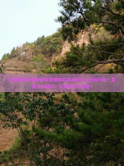 临汾到西安秦始皇帝陵博物院自由行怎么安排行程？需要多长时间？交通方式有哪些？