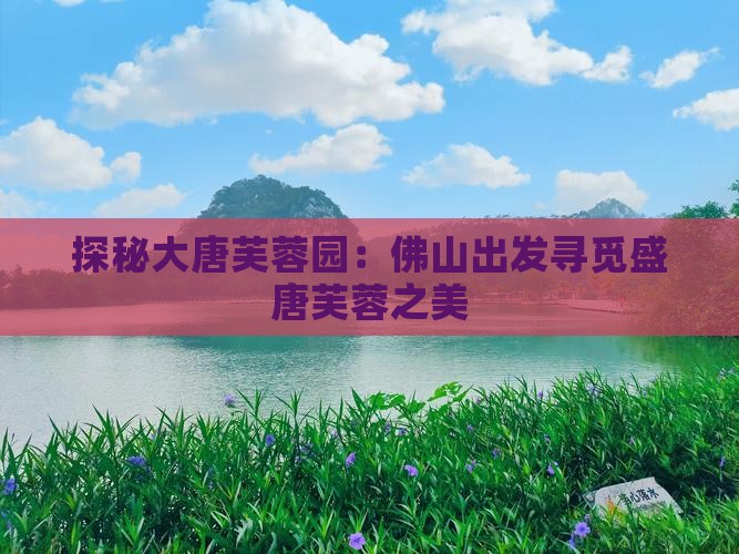 探秘大唐芙蓉园：佛山出发寻觅盛唐芙蓉之美