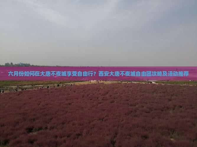 六月份如何在大唐不夜城享受自由行？西安大唐不夜城自由团攻略及活动推荐