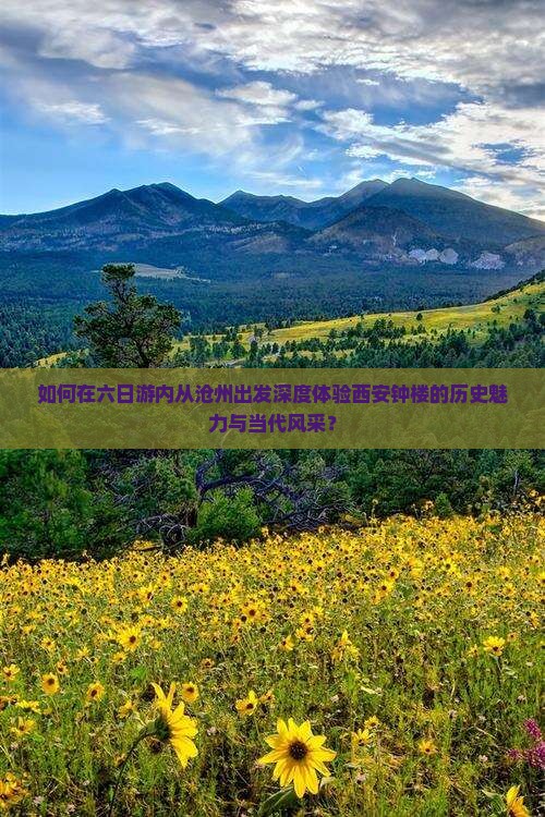 如何在六日游内从沧州出发深度体验西安钟楼的历史魅力与当代风采？