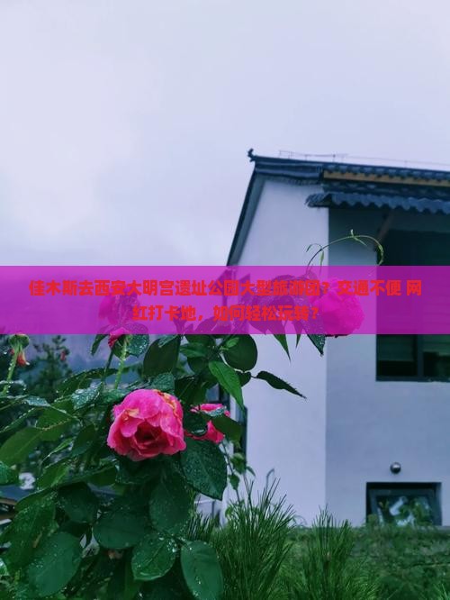佳木斯去西安大明宫遗址公园大型旅游团？交通不便+网红打卡地，如何轻松玩转？