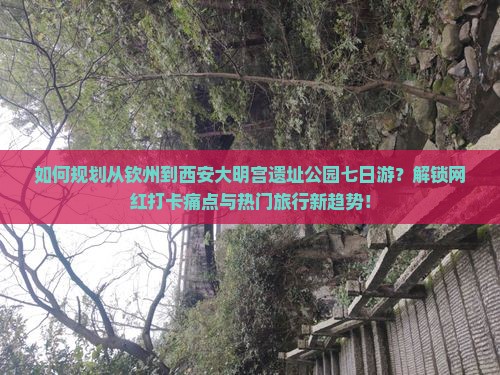 如何规划从钦州到西安大明宫遗址公园七日游？解锁网红打卡痛点与热门旅行新趋势！