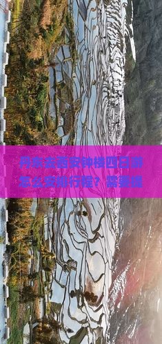 丹东去西安钟楼四日游怎么安排行程？需要提前准备什么？费用大概是多少？
