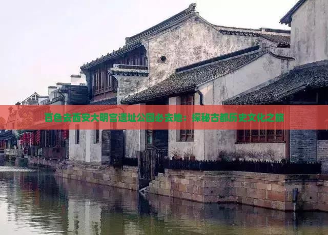 百色去西安大明宫遗址公园必去地：探秘古都历史文化之旅