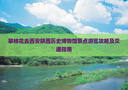 攀枝花去西安陕西历史博物馆景点游览攻略及交通指南