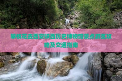 攀枝花去西安陕西历史博物馆景点游览攻略及交通指南