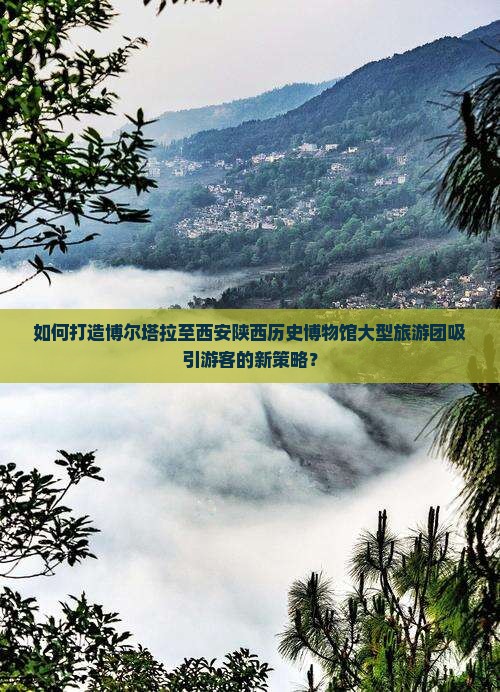 如何打造博尔塔拉至西安陕西历史博物馆大型旅游团吸引游客的新策略？