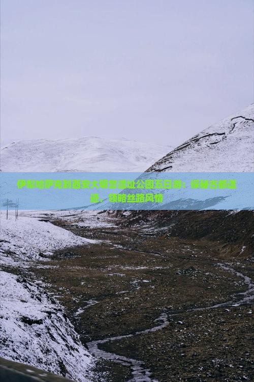 伊犁哈萨克到西安大明宫遗址公园五日游：探秘古都遗迹，领略丝路风情