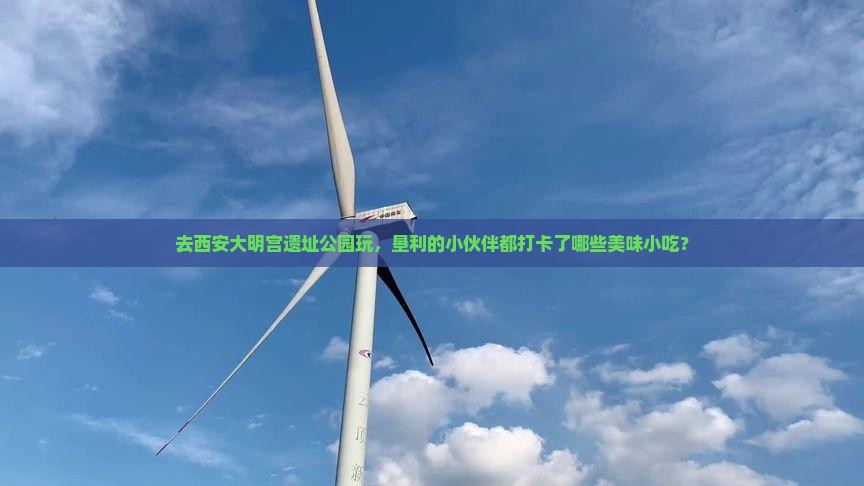 去西安大明宫遗址公园玩，垦利的小伙伴都打卡了哪些美味小吃？