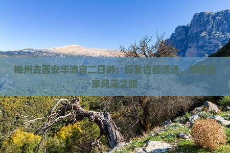 梅州去西安华清宫二日游：探索古都遗迹，领略皇家风采之旅
