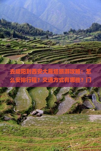 去咸阳到西安大雁塔旅游攻略：怎么安排行程？交通方式有哪些？门票价格是多少？周边还有哪些好玩的地方？