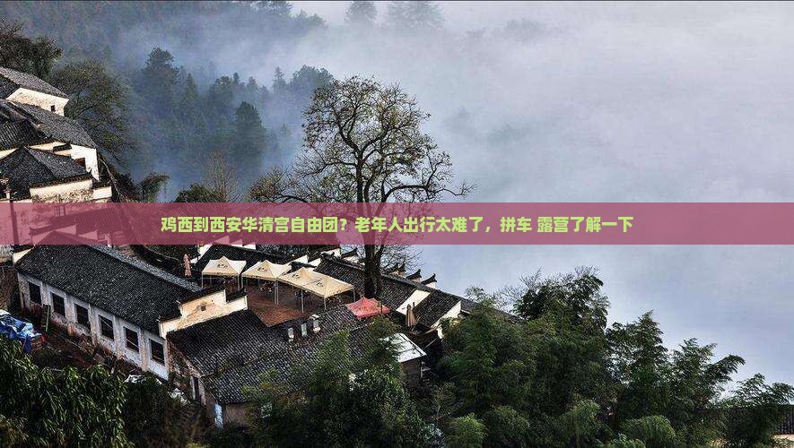 鸡西到西安华清宫自由团？老年人出行太难了，拼车+露营了解一下