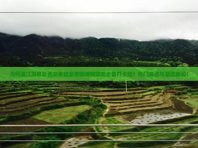 为何湛江游客赴西安秦始皇帝陵博物院成必备打卡地？热门痛点与潮流新词！