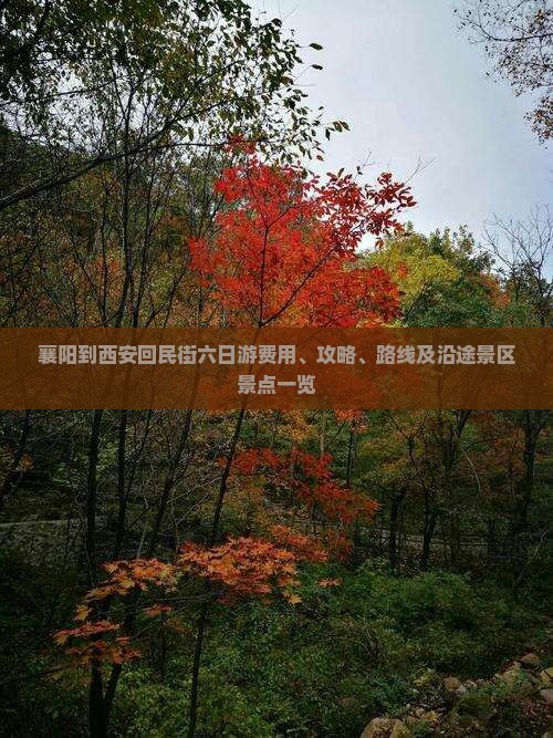 襄阳到西安回民街六日游费用、攻略、路线及沿途景区景点一览