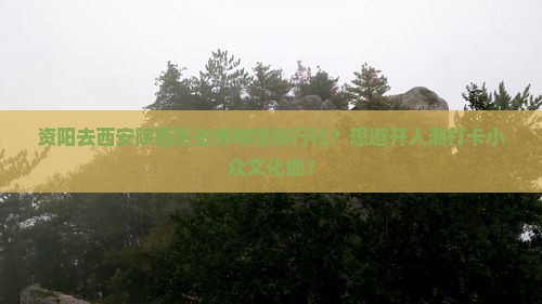 资阳去西安陕西历史博物馆旅行社？想避开人潮打卡小众文化地？
