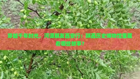 穿越千年时光，河源朋友西安行：陕西历史博物馆里藏着哪些故事？