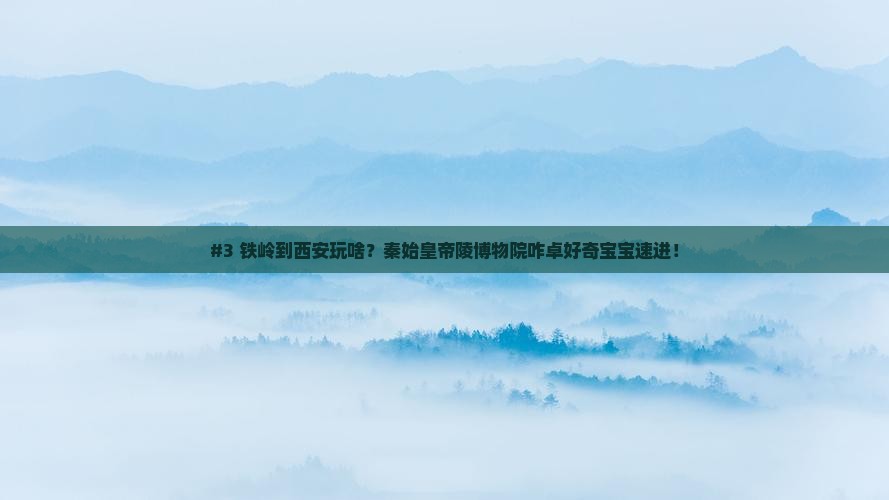 #3 铁岭到西安玩啥？秦始皇帝陵博物院咋卓好奇宝宝速进！